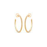 HARAKH Sunlight Two-Way Radiant Edge Hoop Earrings I GIA Jewelry Report